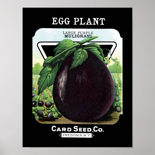 Eggplant Seed Packet Label Poster (Framsidan)