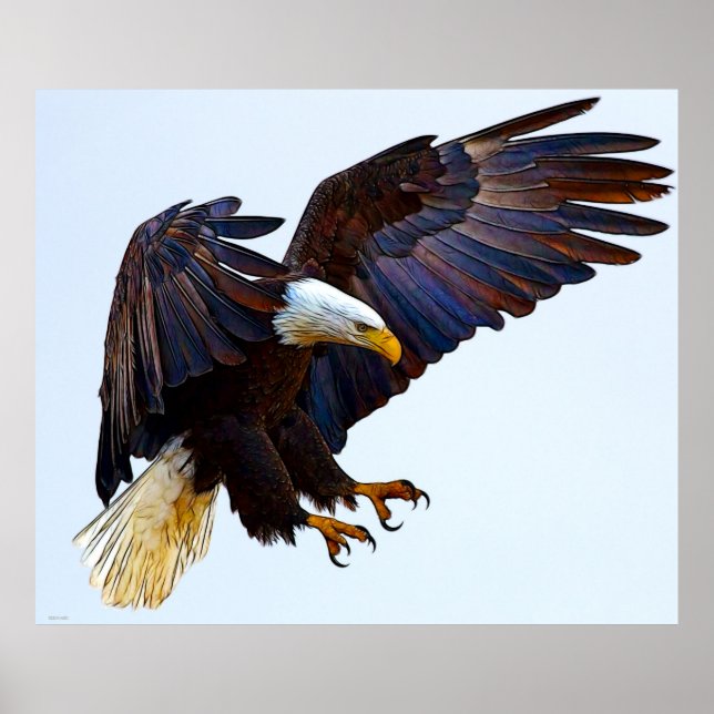 EGLE POSTER (Framsidan)