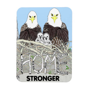 EGLES HARRIET, M15, E17 + E18 BOK-HEM STRONGER MAGNET