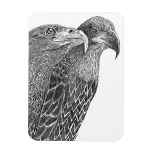 EGLES HARRIET + M FLURRY OF FEATHERS & FRIENENES MAGNET