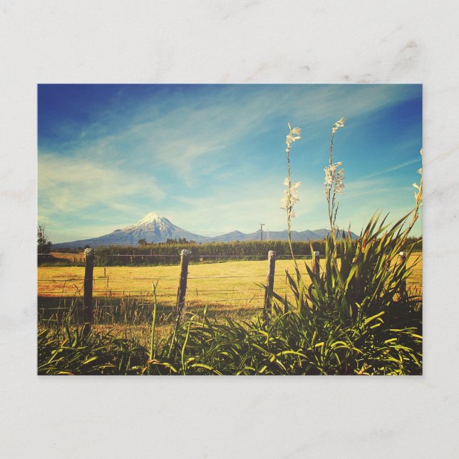 Egmont Village Postcard Vykort (Framsida)