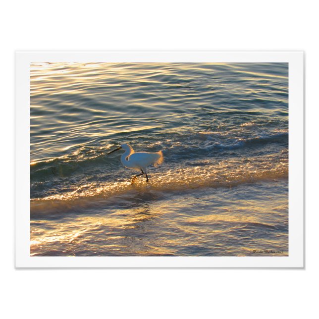 Egret at the Beach Photographic Print Fototryck (Framsidan)