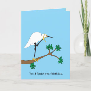 Egret Belated Birthday Kort