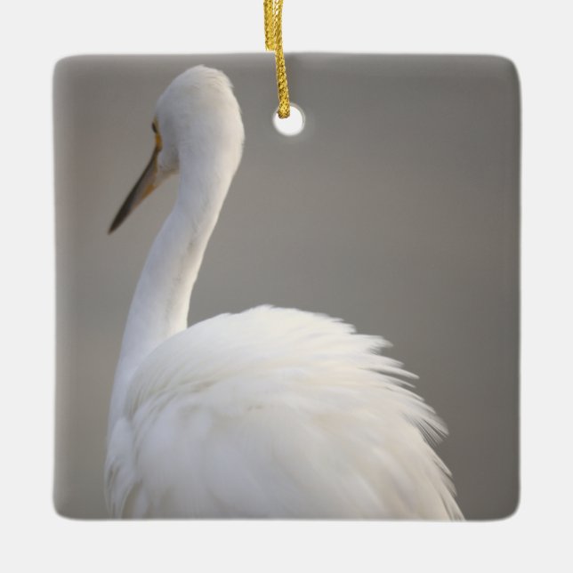 Egret Bird Ornament  (Framsida)