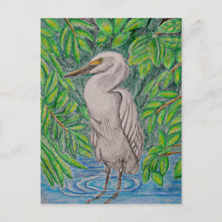 Egret-fågel Vykort