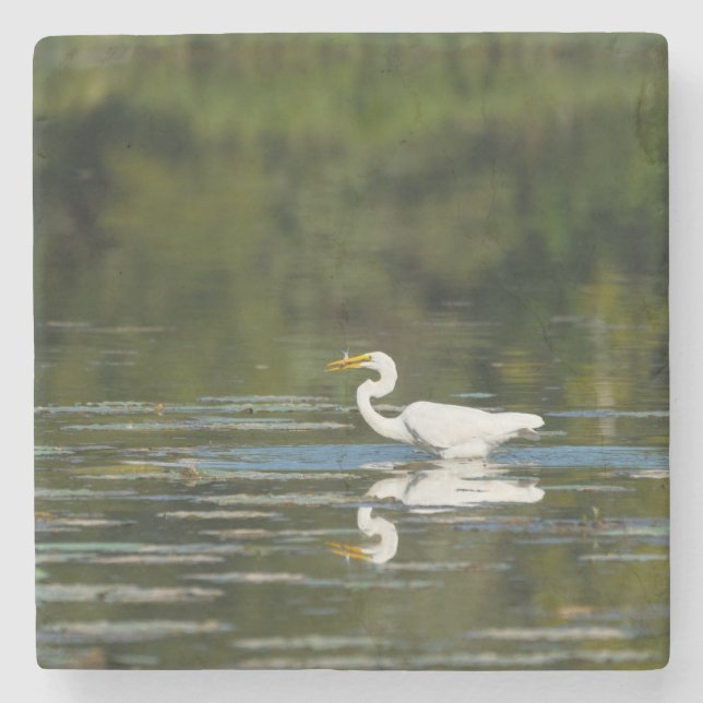 Egret Fish Feast Stenunderlägg (Framsidan)