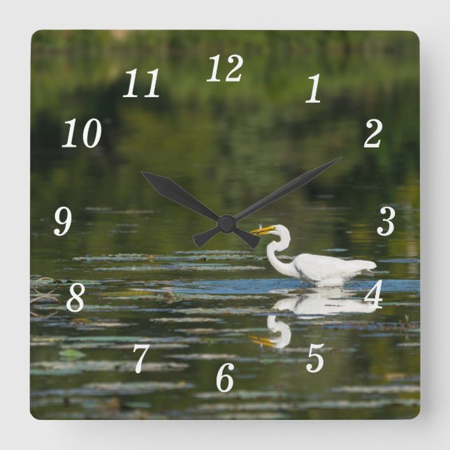 Egret Fish Feast Wall Clock Fyrkantig Klocka (Framsida)