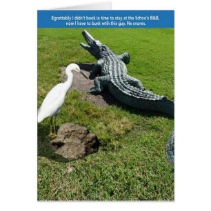 Egret & Gator OBS Kort