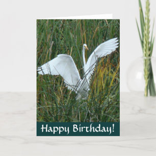 Egret Grattis på födelsedagen-kort Kort