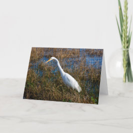 Egret Greeting Card Kort
