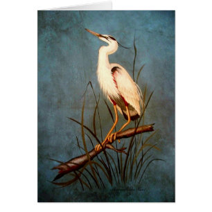 Egret Hälsningskort