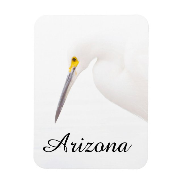 Egret Headshot, Arizona Magnet (Vertikal)