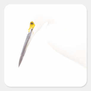 Egret headshot fyrkantigt klistermärke