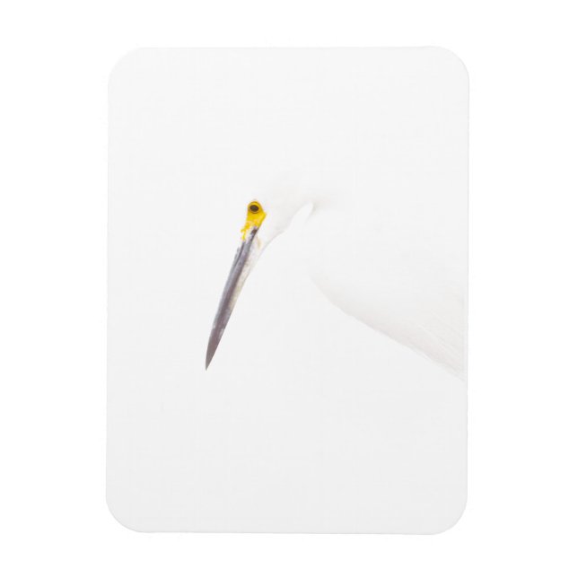 Egret headshot magnet (Vertikal)