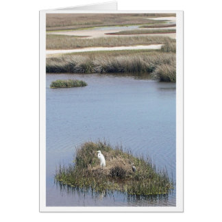 Egret hemma hälsningskort