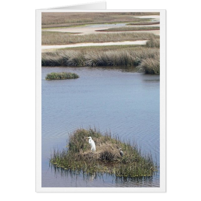 Egret hemma hälsningskort (Framsidan)