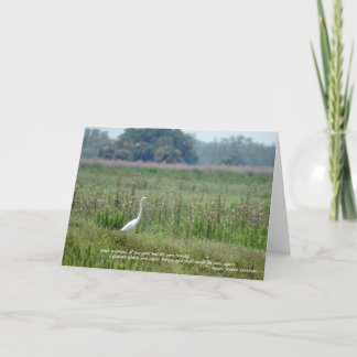Egret i fält av blommakortet kort