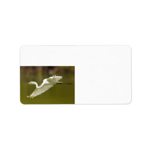 egret i flyg adressetikett