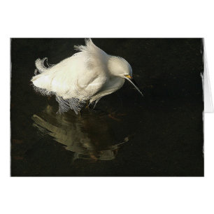 Egret i sjön Merritt, vid den Heidi randen Hälsningskort