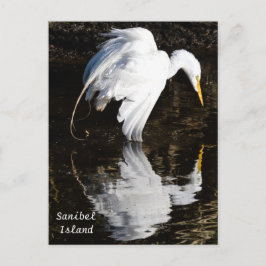 Egret in Bloom Vykort