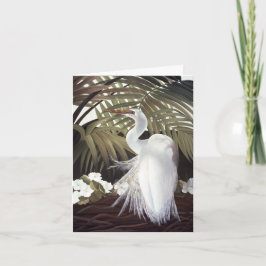 Egret-kort Tack Kort