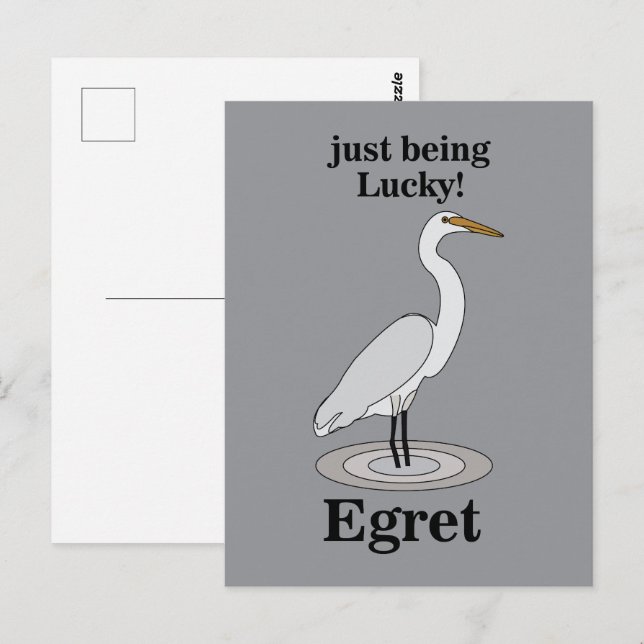 Egret Lucky Bird Vykort (Fram/baksida)