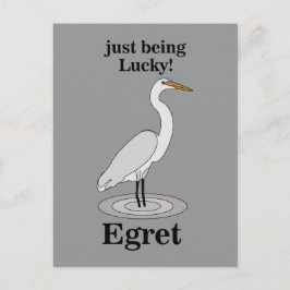 Egret Lucky Bird Vykort