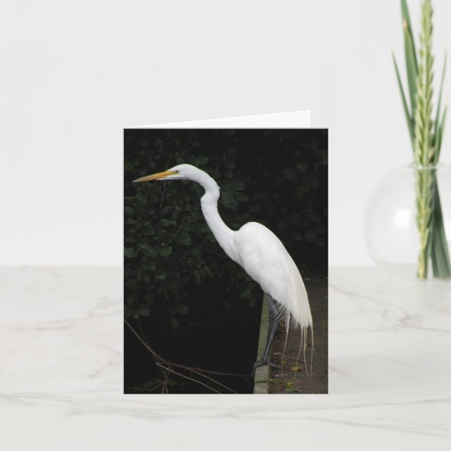 Egret Note Card Kort (Framsida)