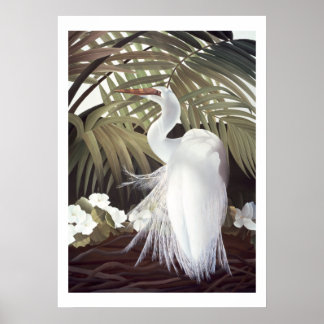 Egret och Handflatan Poster
