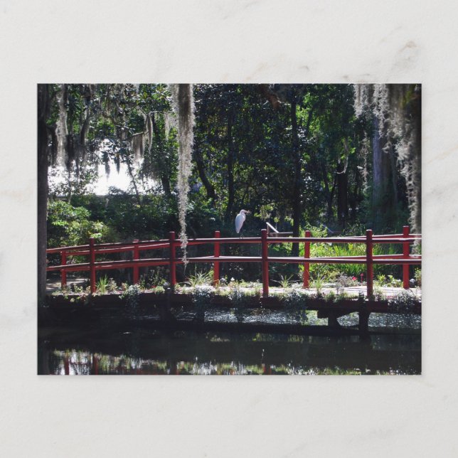 Egret on Red Bridge-vykort Vykort (Framsida)