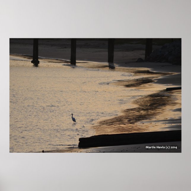 Egret on Shore II Poster (Framsidan)