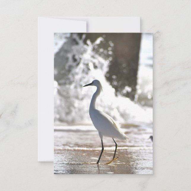 Egret på banksedelkortet tack kort (Framsida)