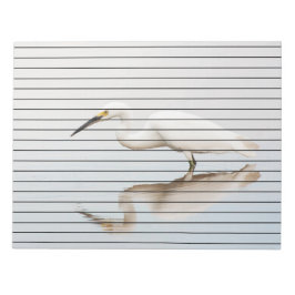 Egret på stillastående damm anteckningsblock
