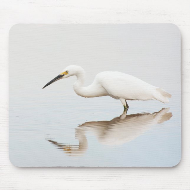Egret på stillastående damm musmatta (Framsidan)