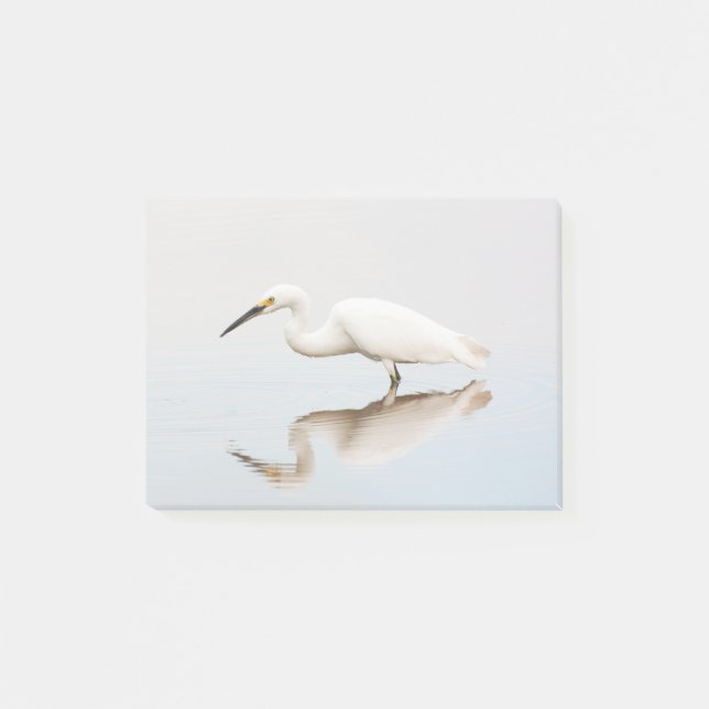Egret på stillastående damm post-it block (Framsida)