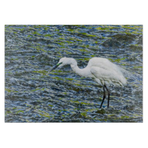 Egret Stork Blue Sjö White Bird