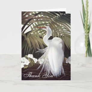 Egret"tack" kort