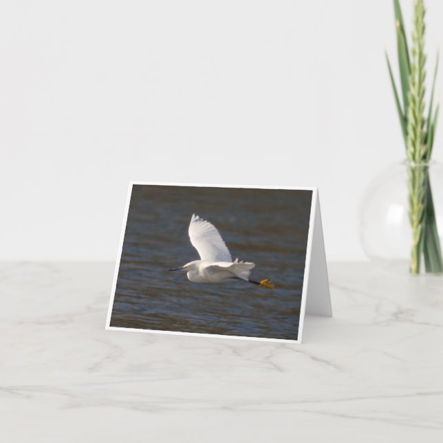 Egret under flygning kort (Framsida)
