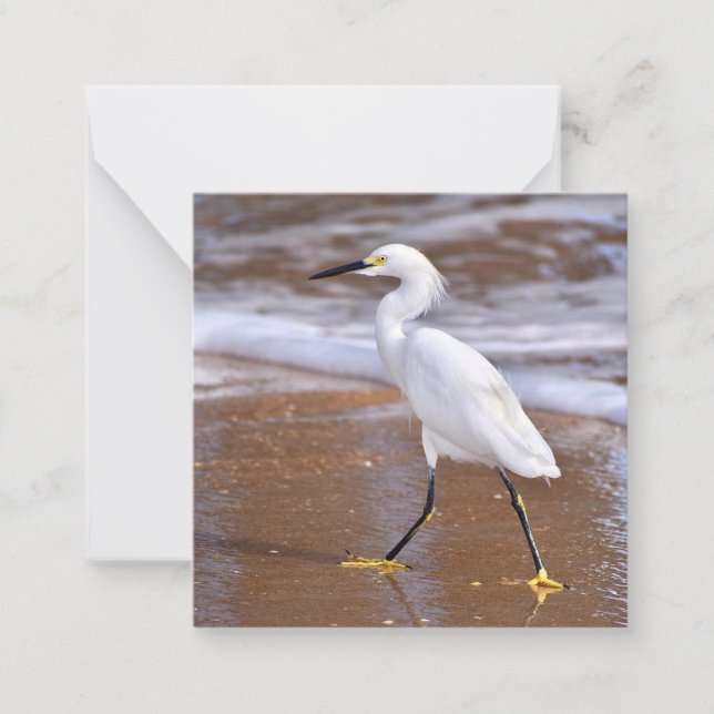 Egret vid Beach mini notecard set Anteckningskort (Framsida)