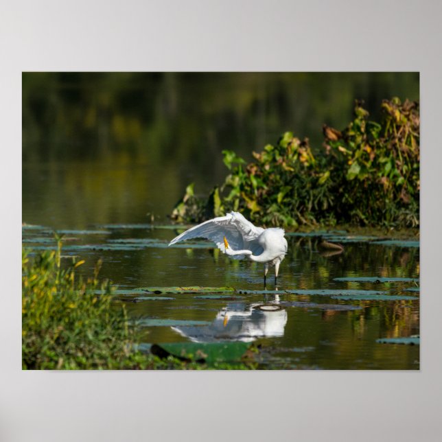Egret Vinge Exam Poster (Framsidan)