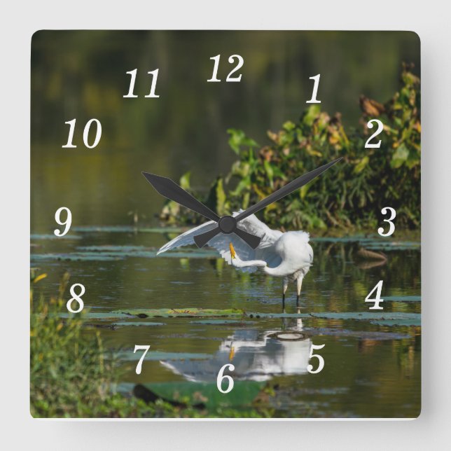 Egret Vinge Exam Wall Clock Fyrkantig Klocka (Framsida)