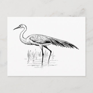 egret vykort