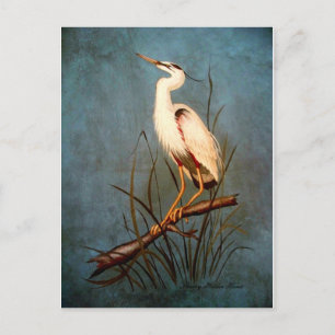 Egret Vykort