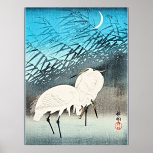 Egrets and Reeds, bra art av Ohara Koson Poster