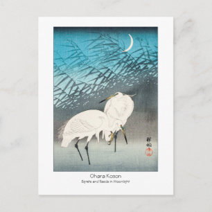 Egrets and Reeds in Moonlight - Ohara Koson -Art + Vykort