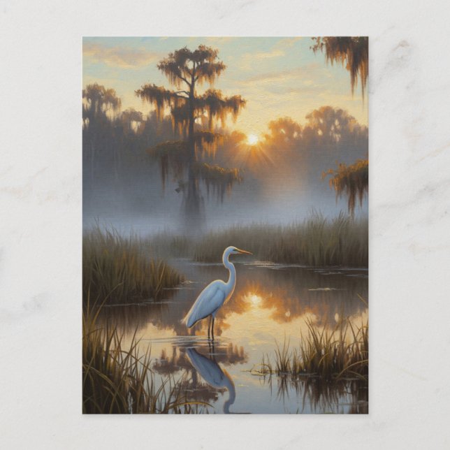 Egrets i Everglades nationalpark God morgon Vykort (Framsida)