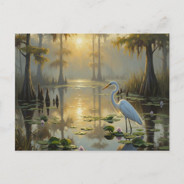 Egrets i Everglades nationalpark God morgon Vykort (Framsida)