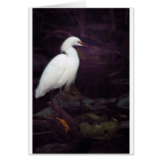 Egrets? Jag har haft några… Hälsningskort