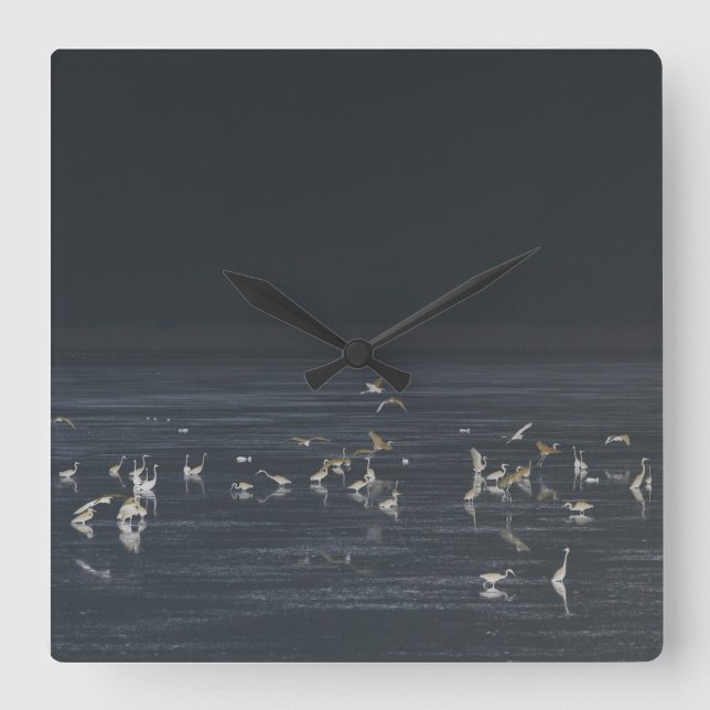 Egrets på Midnight Blue Ocean Fyrkantig Klocka (Framsida)