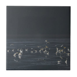 Egrets på Midnight Blue Ocean Kakelplatta